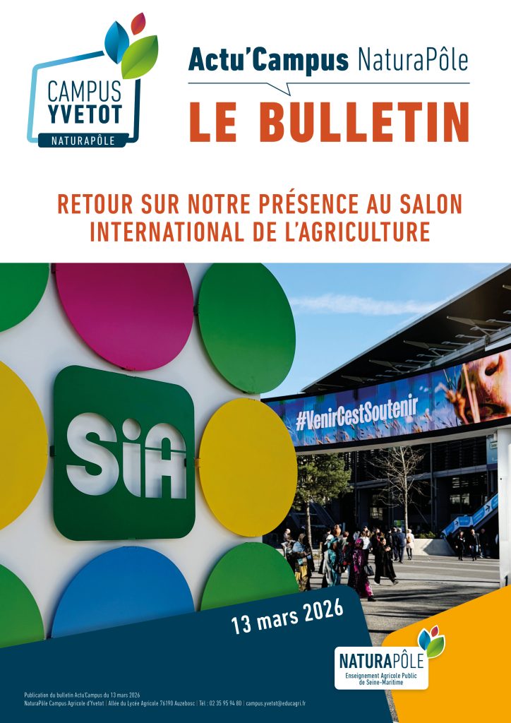 Couve Bulletin 13 mars 2026